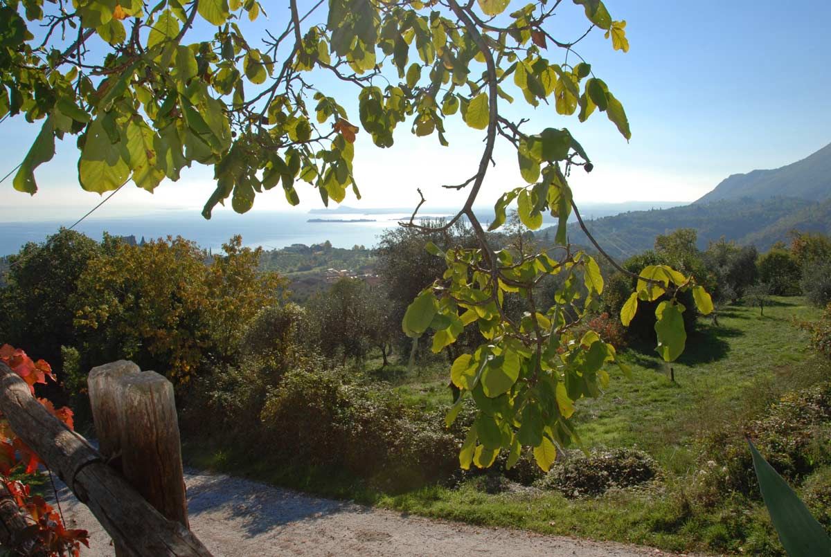 Gaino Wege Sant'Ercolano 